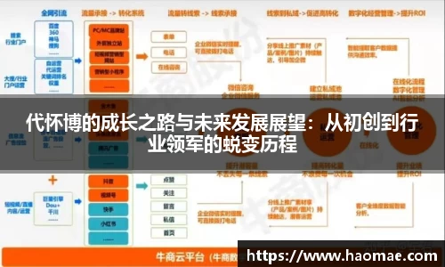 代怀博的成长之路与未来发展展望:从初创到行业领军的蜕变历程